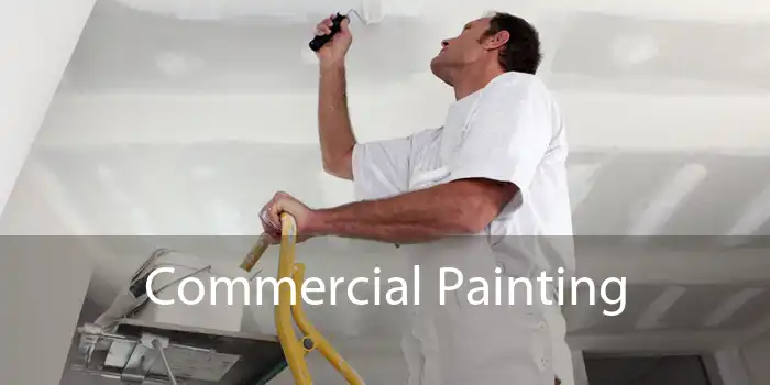 Commercial Painting 